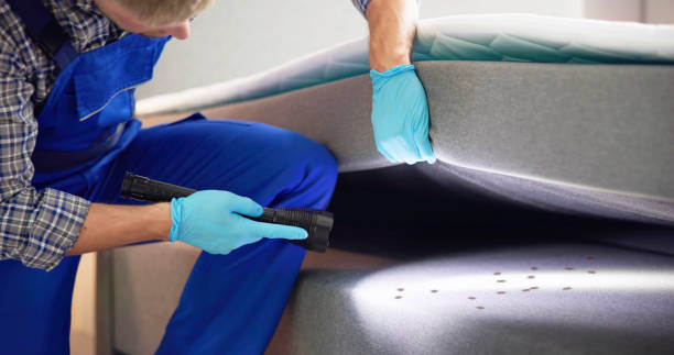Flea Control Services in Midway City, CA