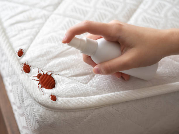Best Pest Control Near Me in Midway City, CA